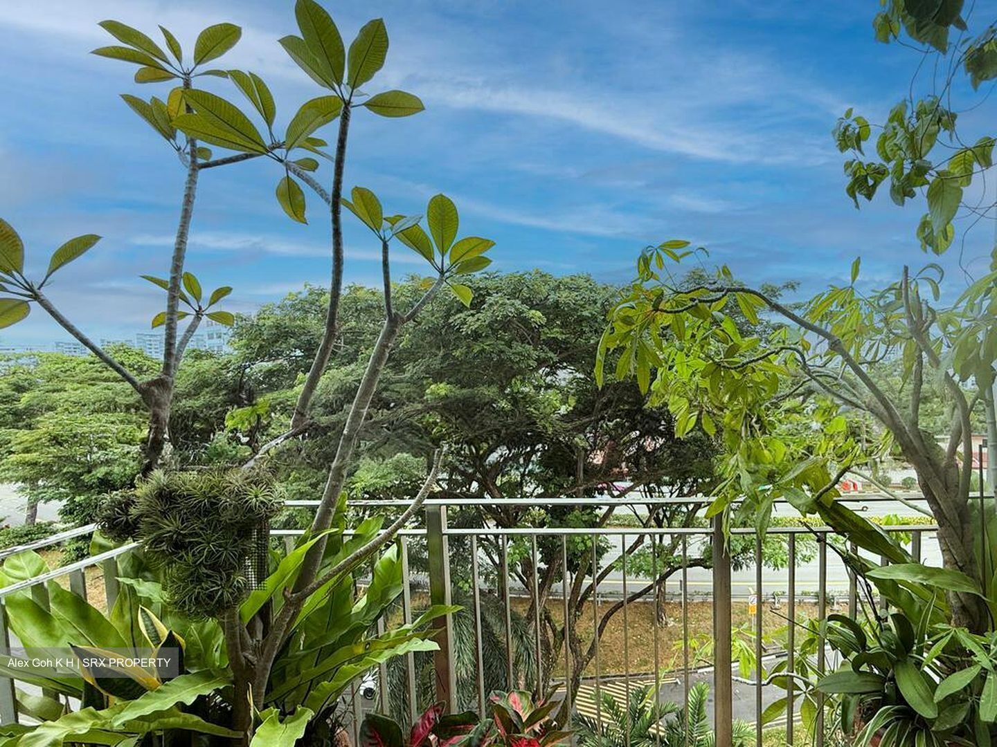 Bayou Residence (D19), Apartment #503971851